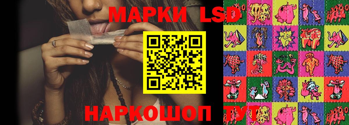 LSD-25 экстази ecstasy  Вход с VPN  LSD-25 экстази ecstasy  Гатчина 