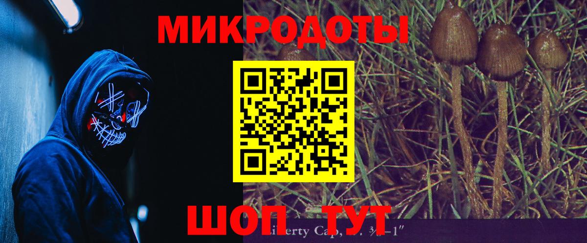 Галлюциногенные грибы GOLDEN TEACHER Гатчина
